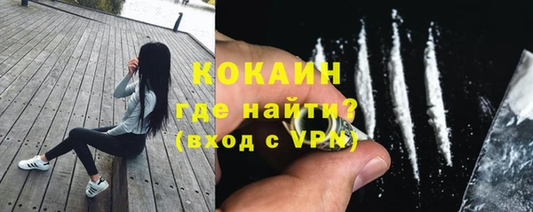 дмт Арсеньев