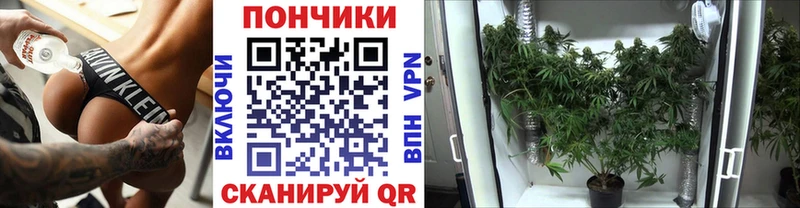 где найти наркотики  Сокол  KRAKEN как зайти  МАРИХУАНА индика 